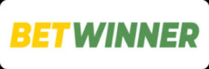 the-thrills-of-casino-online-discover-the-best_3