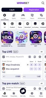 wowbet личный кабинет - Удобство и безопасность входа на платформу Wowbet